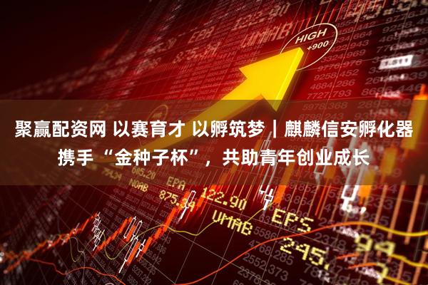 聚赢配资网 以赛育才 以孵筑梦｜麒麟信安孵化器携手 “金种子杯”，共助青年创业成长